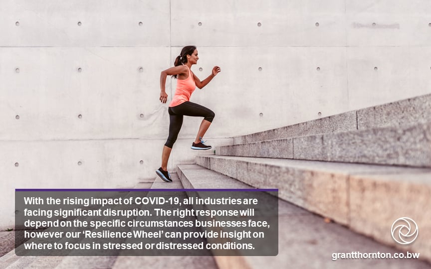 COVID-19 The Resilience Wheel